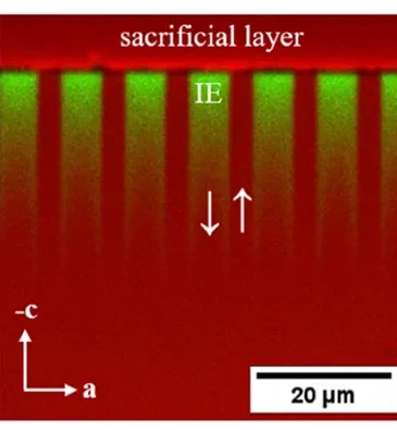 Ion-mass map showing potassium in red and rubidium in green below a sacrificial layer; scale bar 20 micrometres.